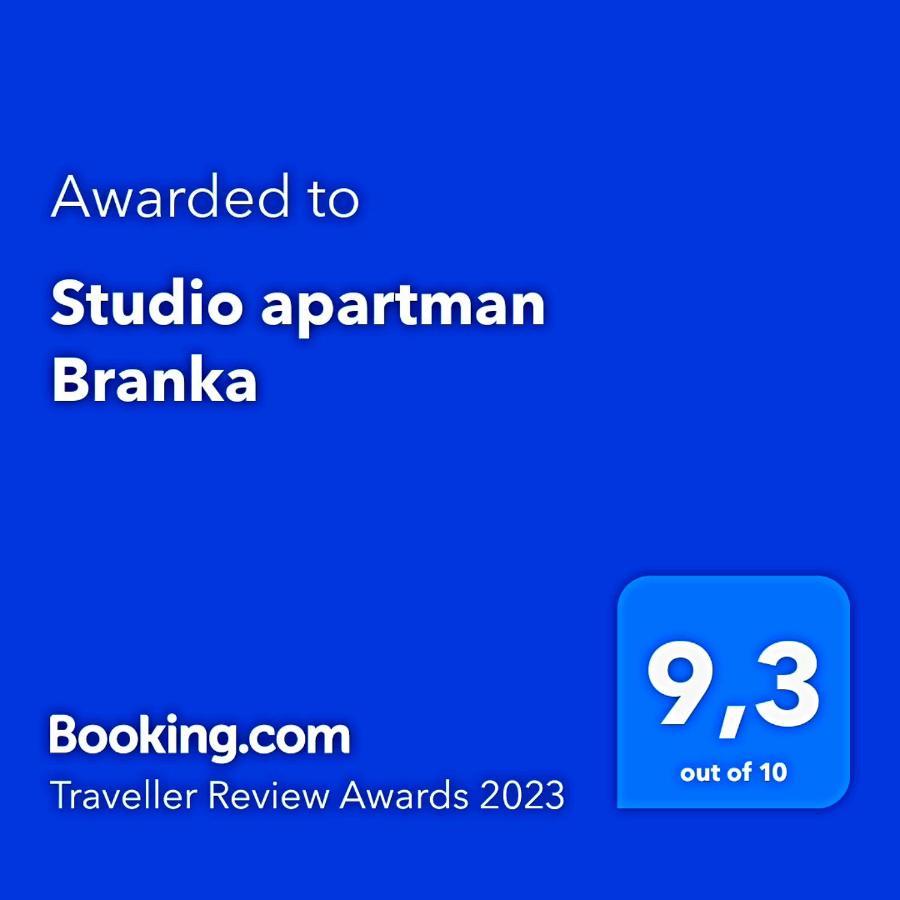 Studio Apartman Branka Labin  Exterior foto